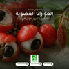 مكمل غذائي – غوارانا عضوية – شريحة 1