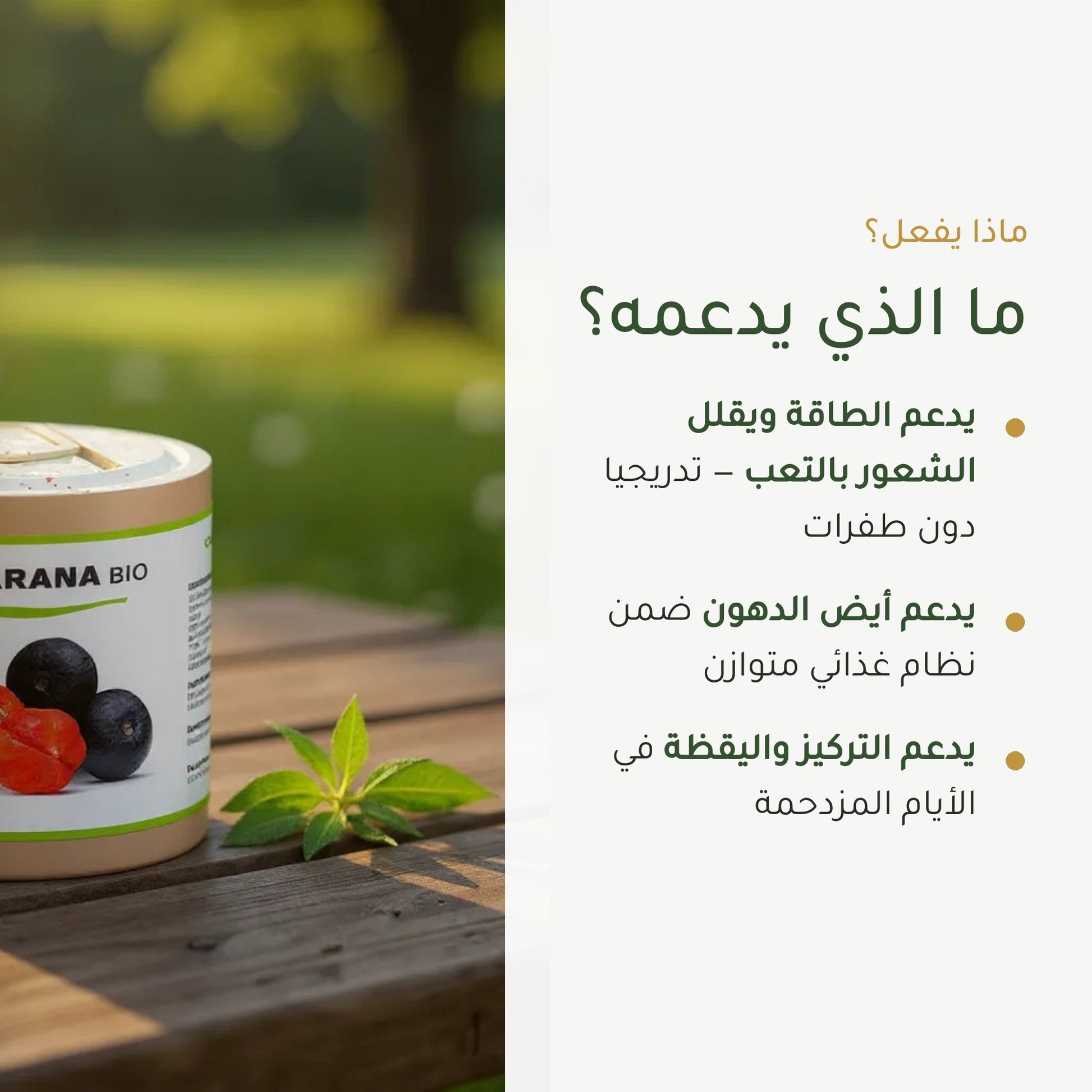 مكمل غذائي – غوارانا عضوية – شريحة 2