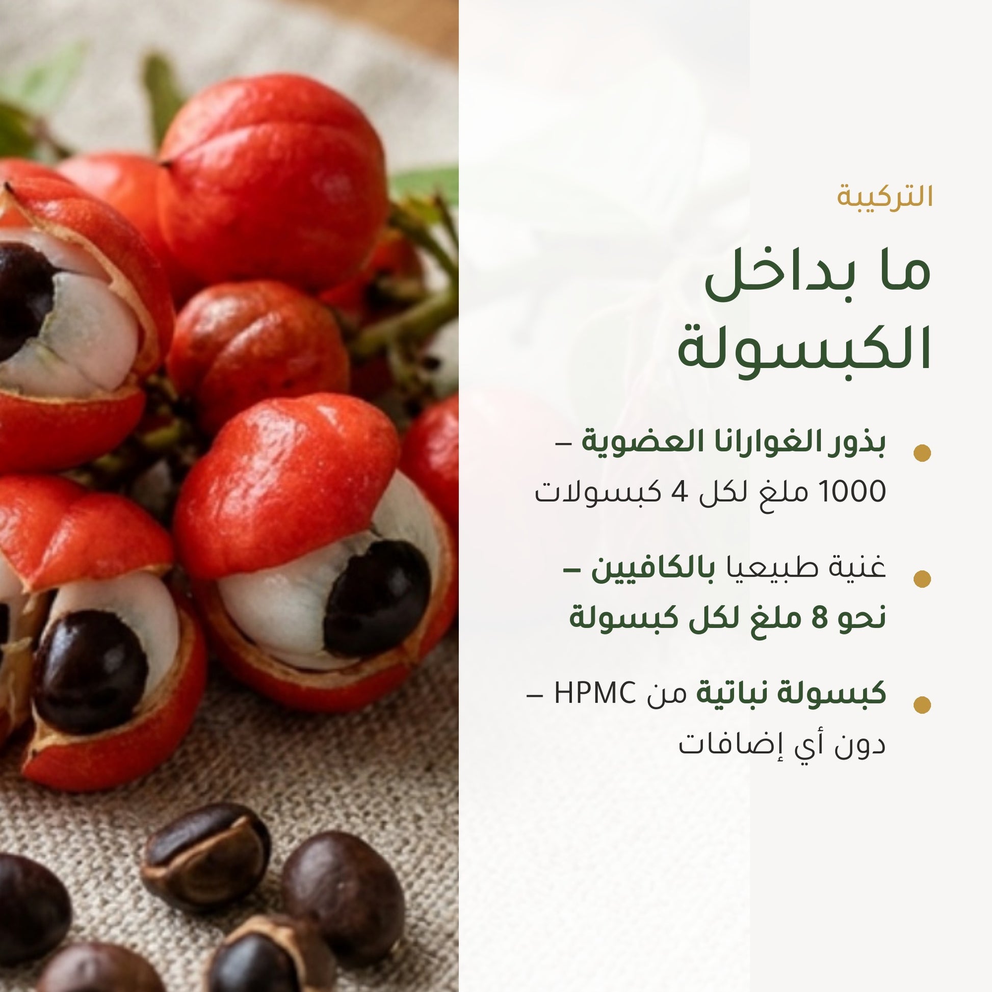مكمل غذائي – غوارانا عضوية – شريحة 3