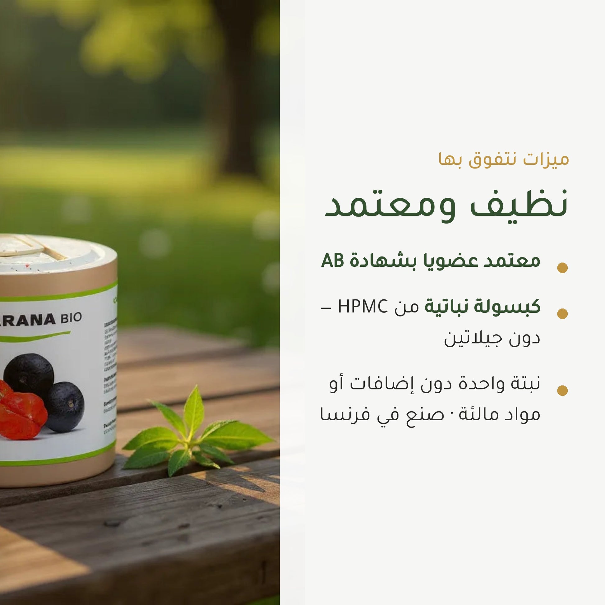 مكمل غذائي – غوارانا عضوية – شريحة 4
