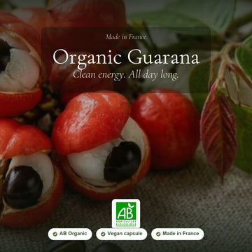 [EN] Food Supplement – Organic Guarana – slide 1