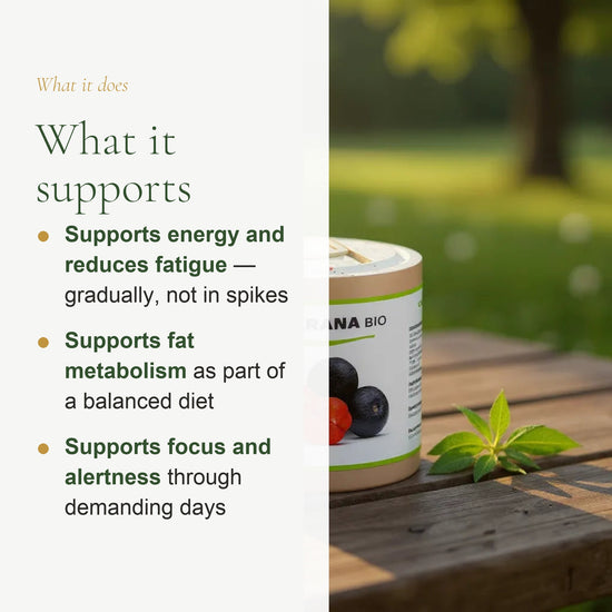 Food Supplement – Organic Guarana – slide 2