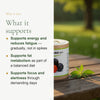 Food Supplement – Organic Guarana – slide 2