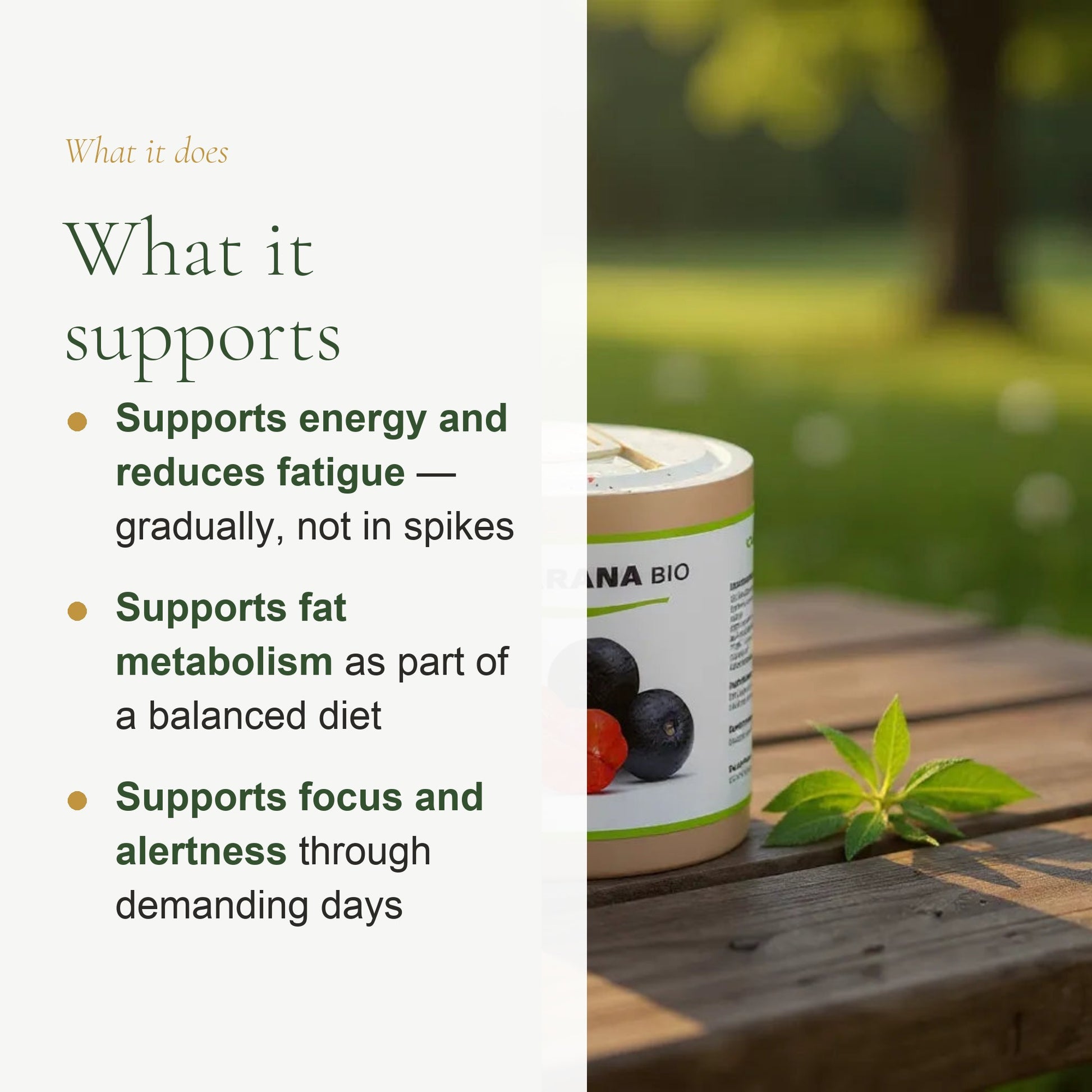 Food Supplement – Organic Guarana – slide 2