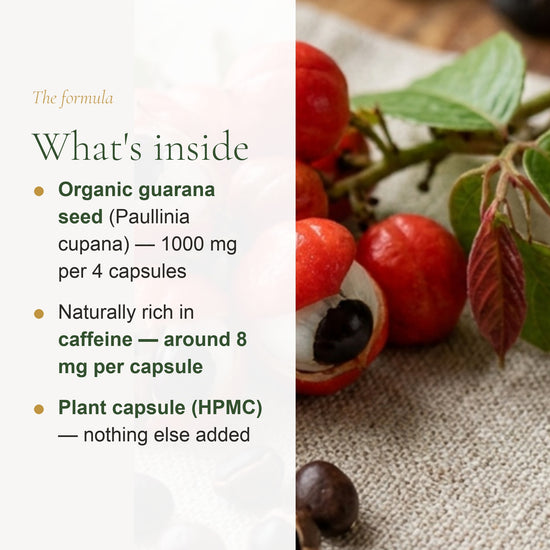 Food Supplement – Organic Guarana – slide 3