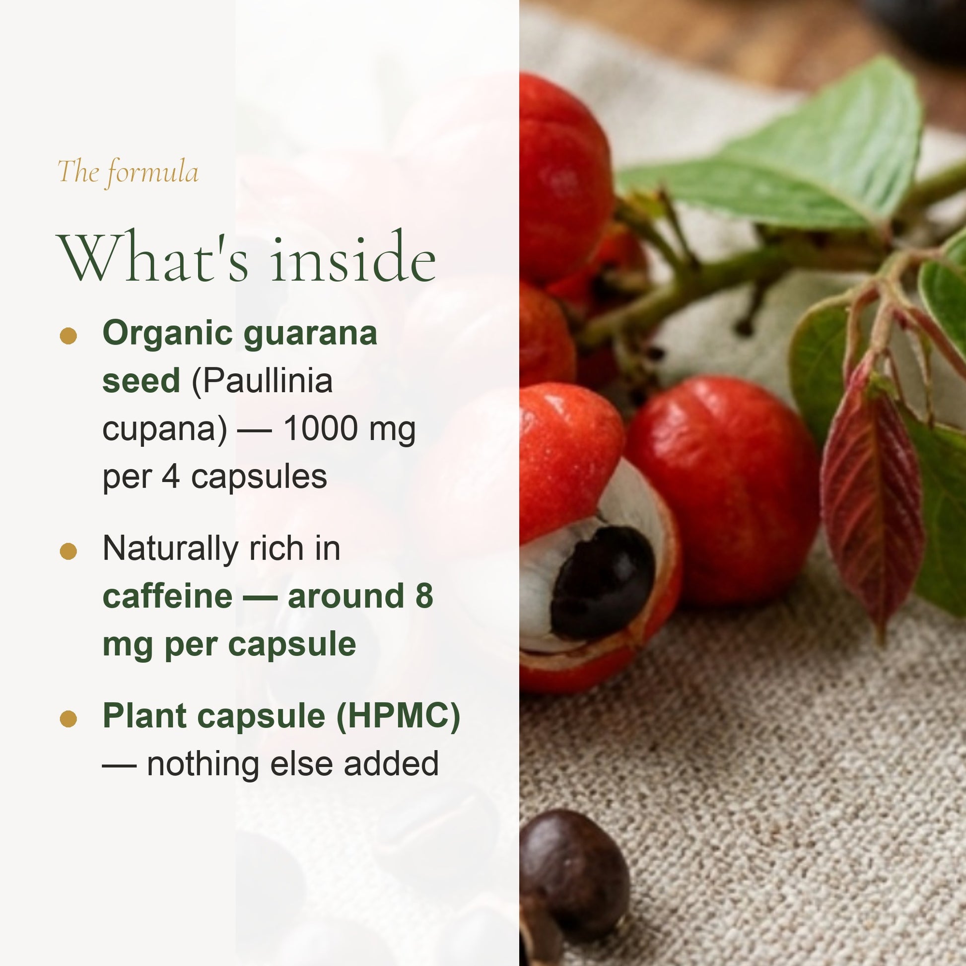 Food Supplement – Organic Guarana – slide 3