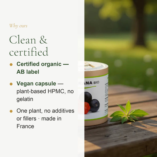 Food Supplement – Organic Guarana – slide 4