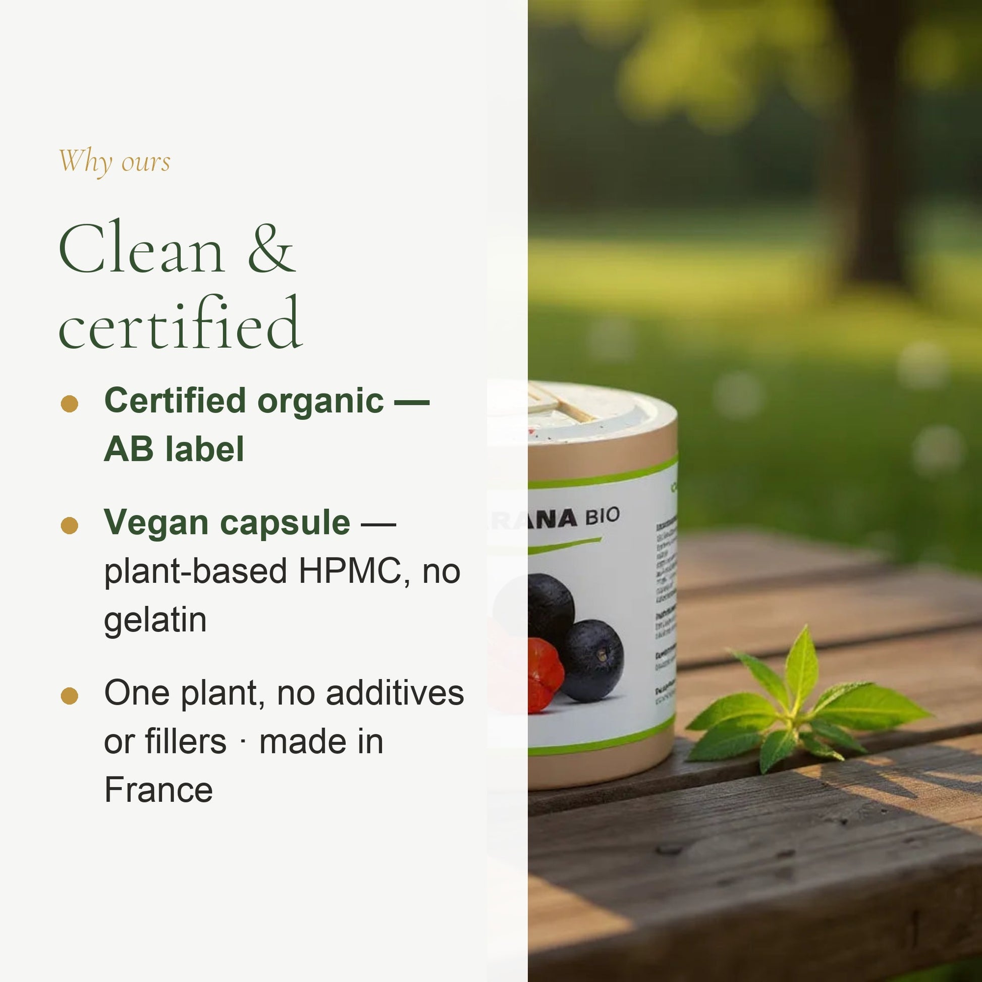 Food Supplement – Organic Guarana – slide 4
