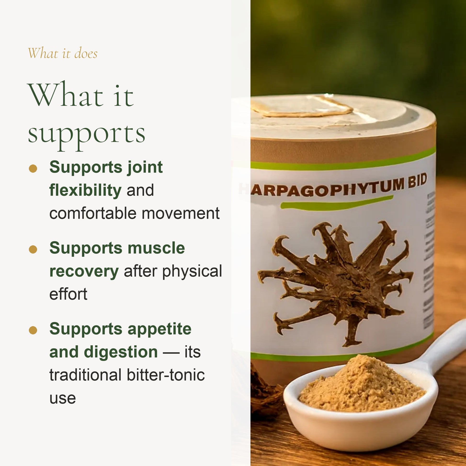 Food Supplement – Organic Devil’s Claw – slide 2
