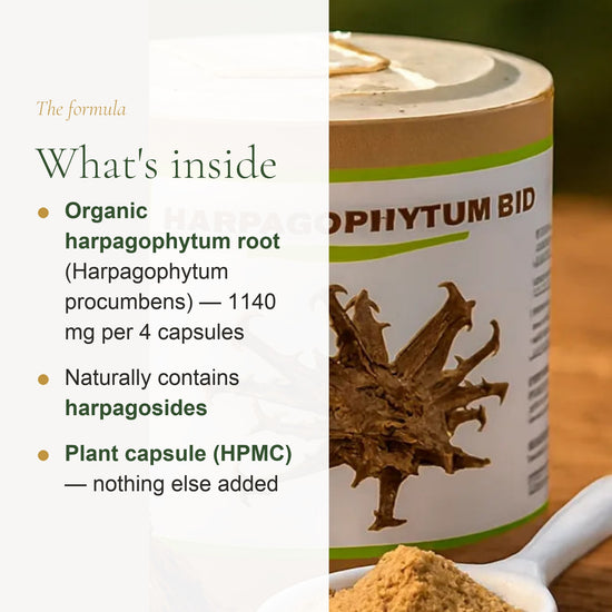 Food Supplement – Organic Devil’s Claw – slide 3