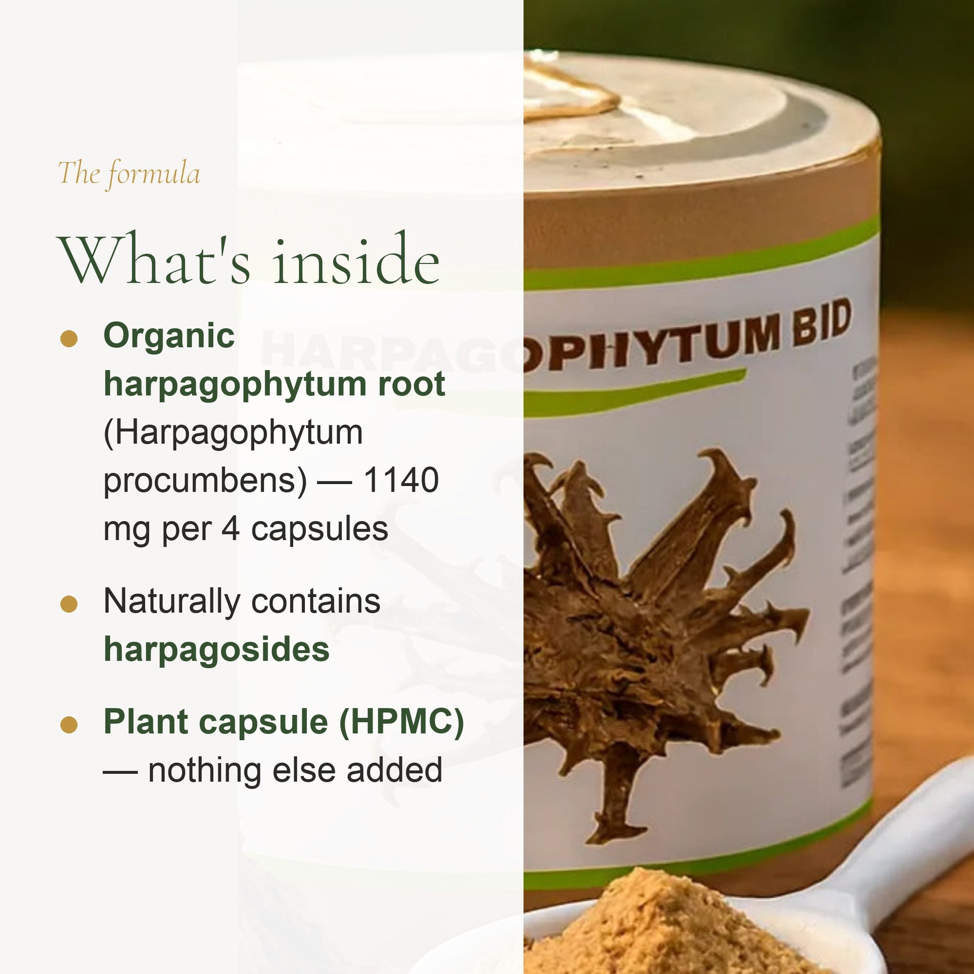 Food Supplement – Organic Devil’s Claw – slide 3