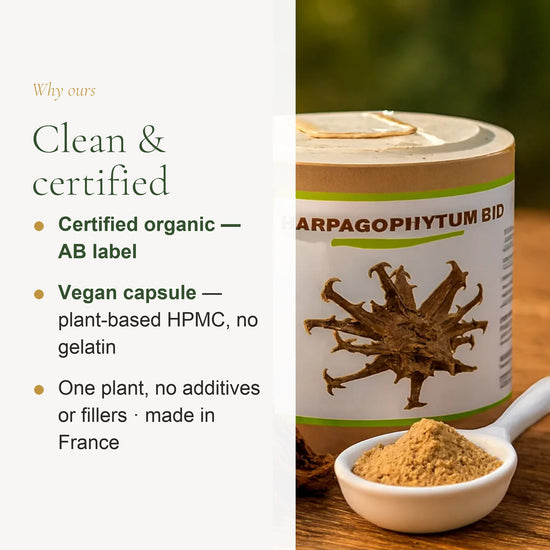 Food Supplement – Organic Devil’s Claw – slide 4