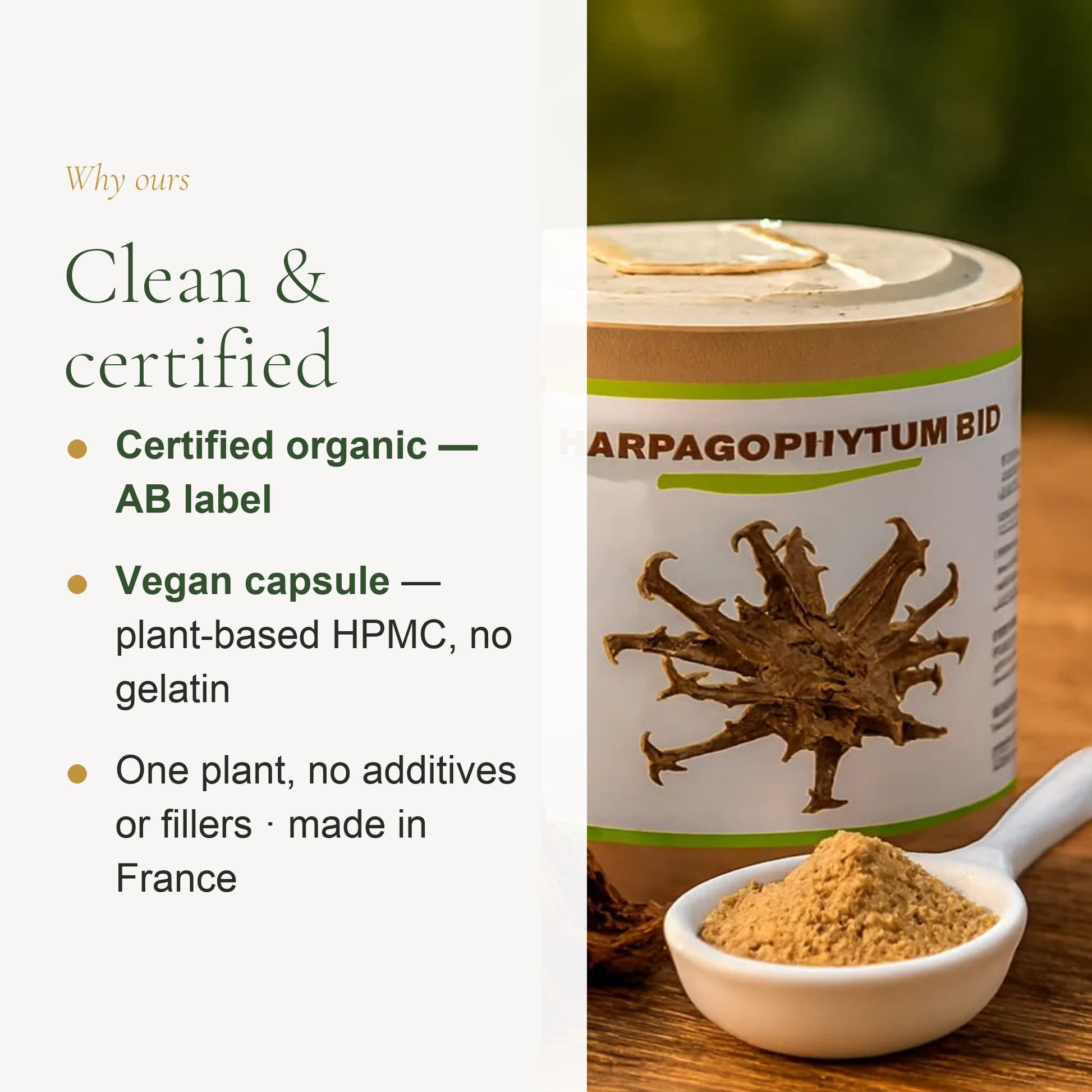 Food Supplement – Organic Devil’s Claw – slide 4