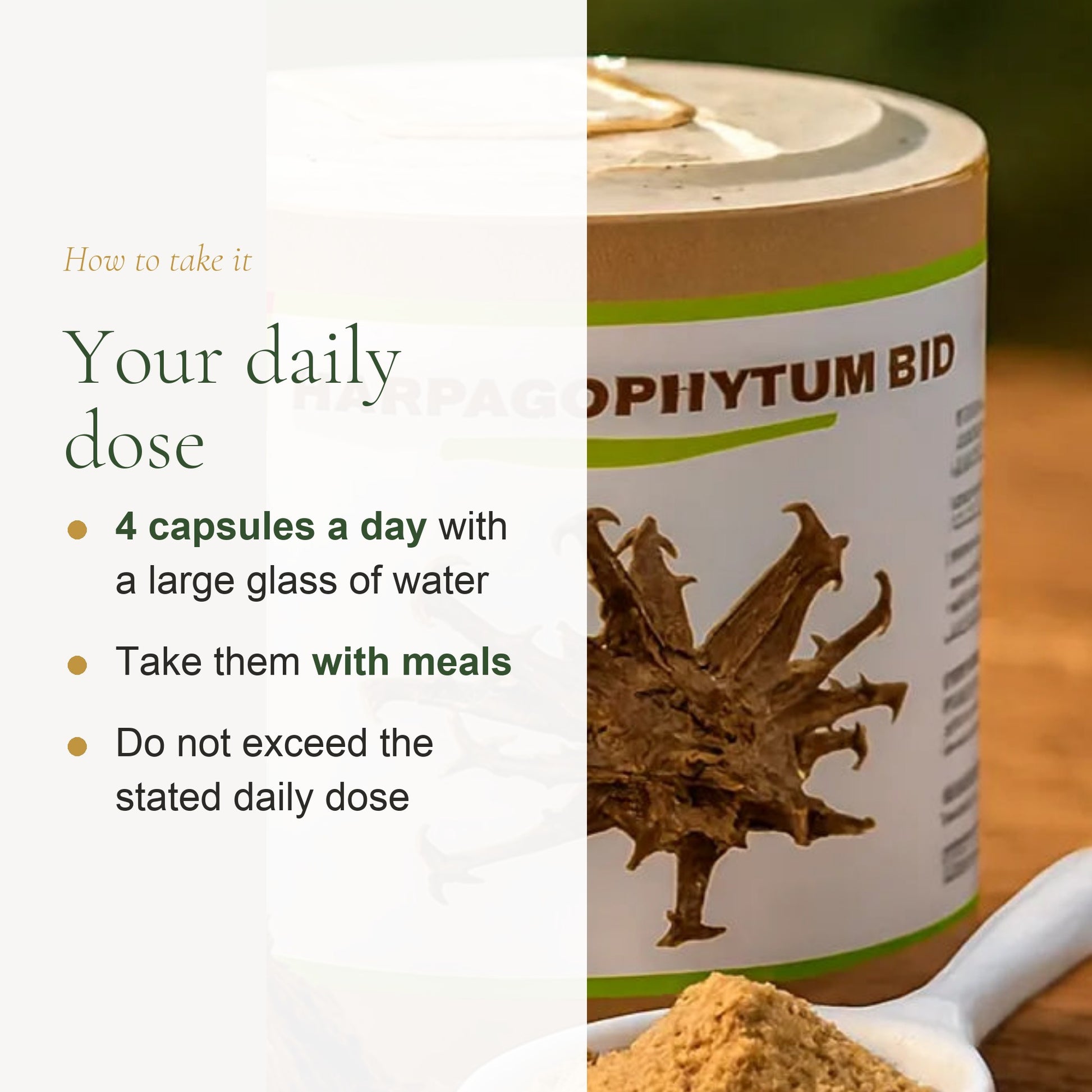 Food Supplement – Organic Devil’s Claw – slide 6