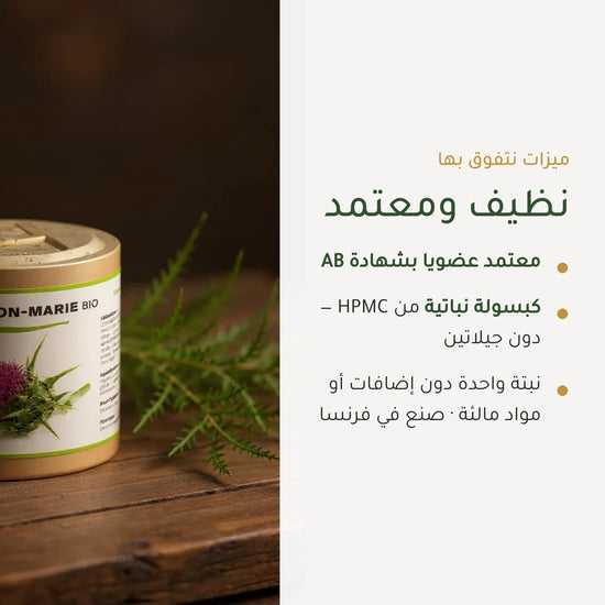 مكمل غذائي بشوك الحليب العضوي – يدعم صحة الكبد وسهولة الهضم – شريحة 4