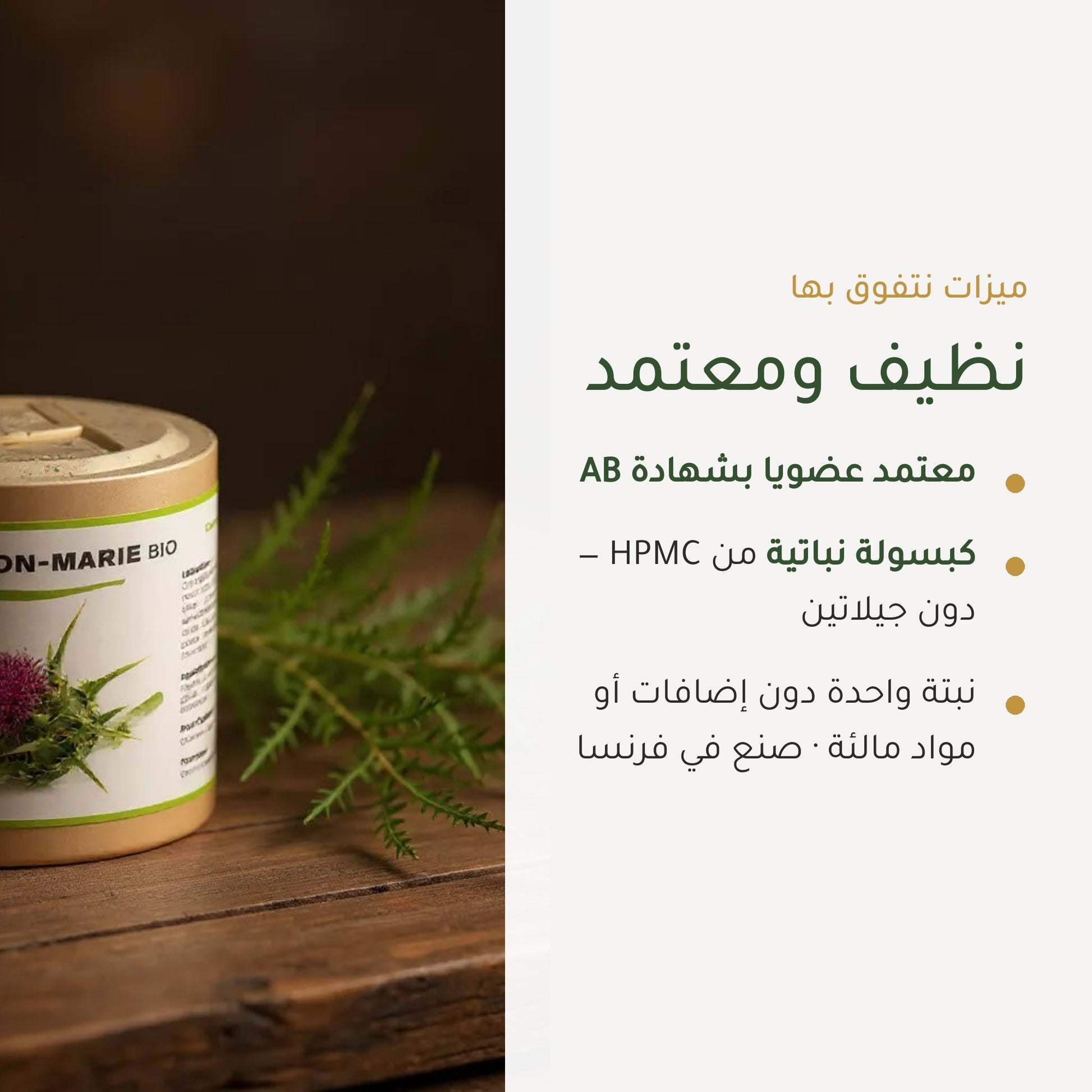 مكمل غذائي بشوك الحليب العضوي – يدعم صحة الكبد وسهولة الهضم – شريحة 4