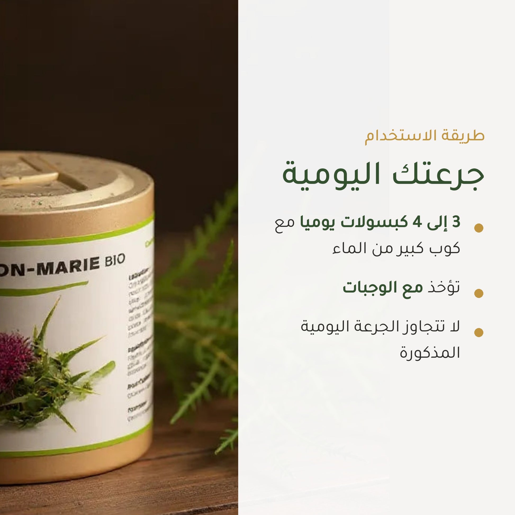 مكمل غذائي بشوك الحليب العضوي – يدعم صحة الكبد وسهولة الهضم – شريحة 6