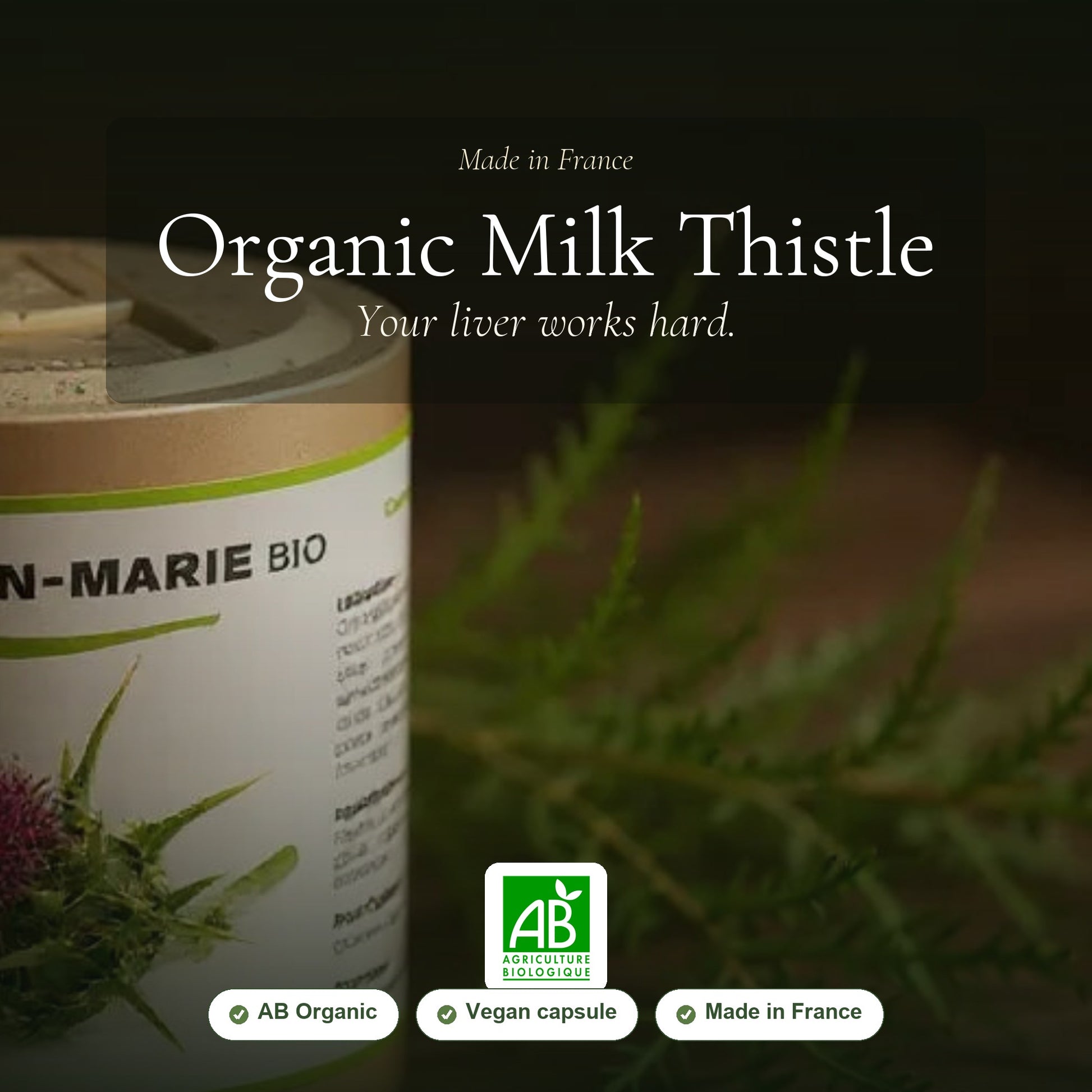 Organic Milk Thistle – Supports Healthy Liver Function – slide 1