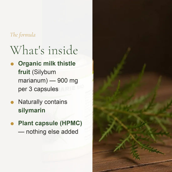 Organic Milk Thistle – Supports Healthy Liver Function – slide 3