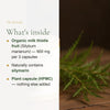 Organic Milk Thistle – Supports Healthy Liver Function – slide 3
