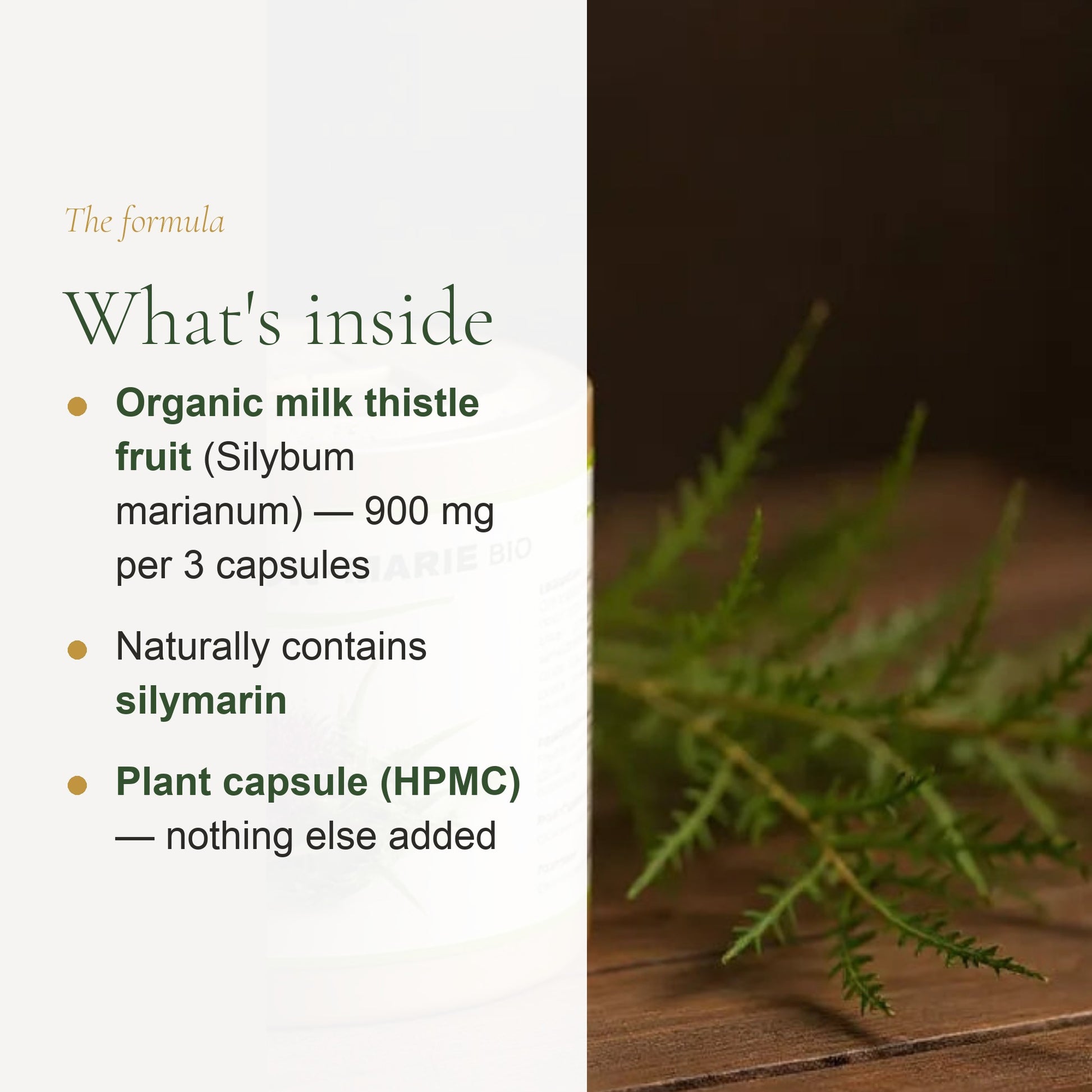 Organic Milk Thistle – Supports Healthy Liver Function – slide 3