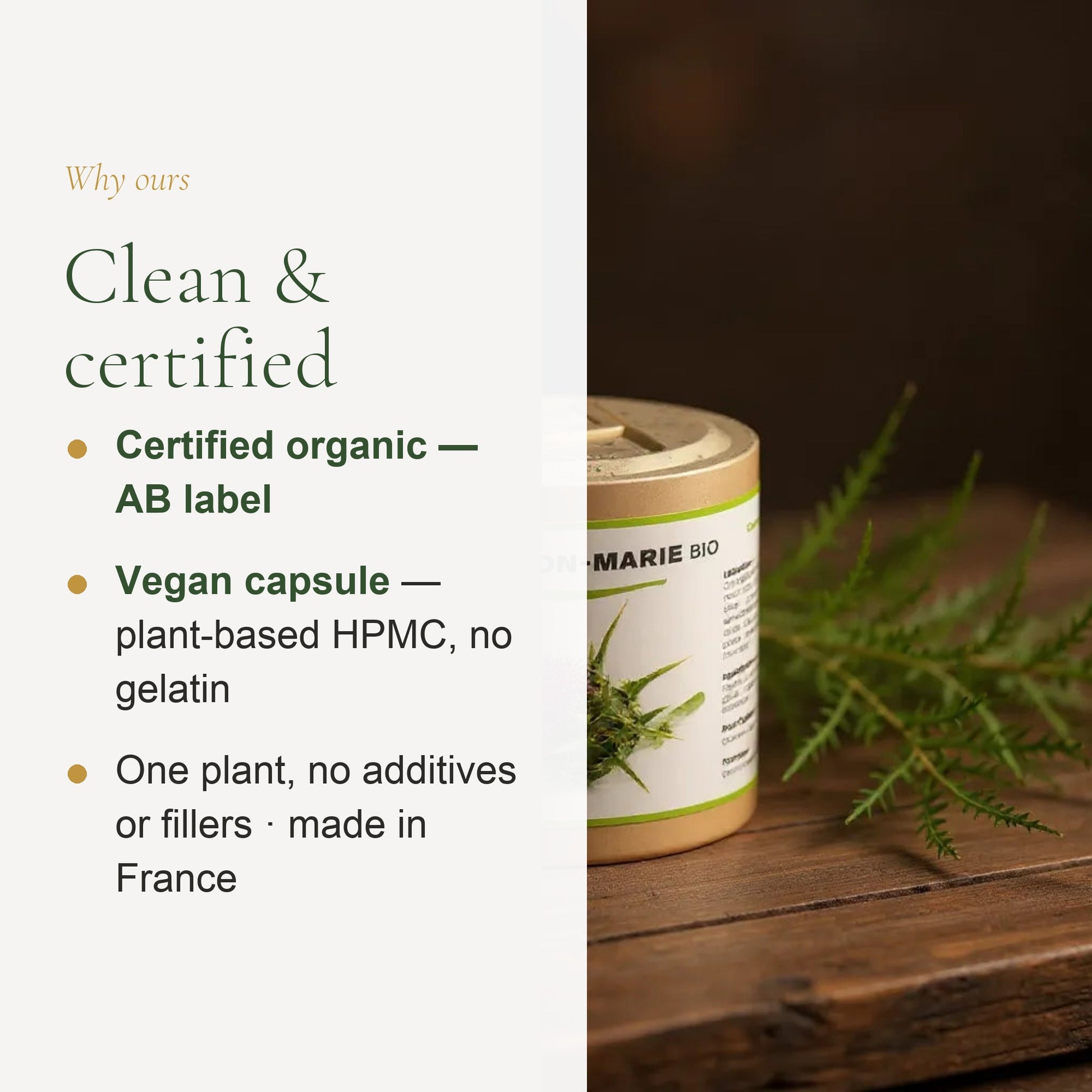 Organic Milk Thistle – Supports Healthy Liver Function – slide 4