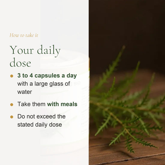 Organic Milk Thistle – Supports Healthy Liver Function – slide 6