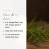 Organic Milk Thistle – Supports Healthy Liver Function – slide 6