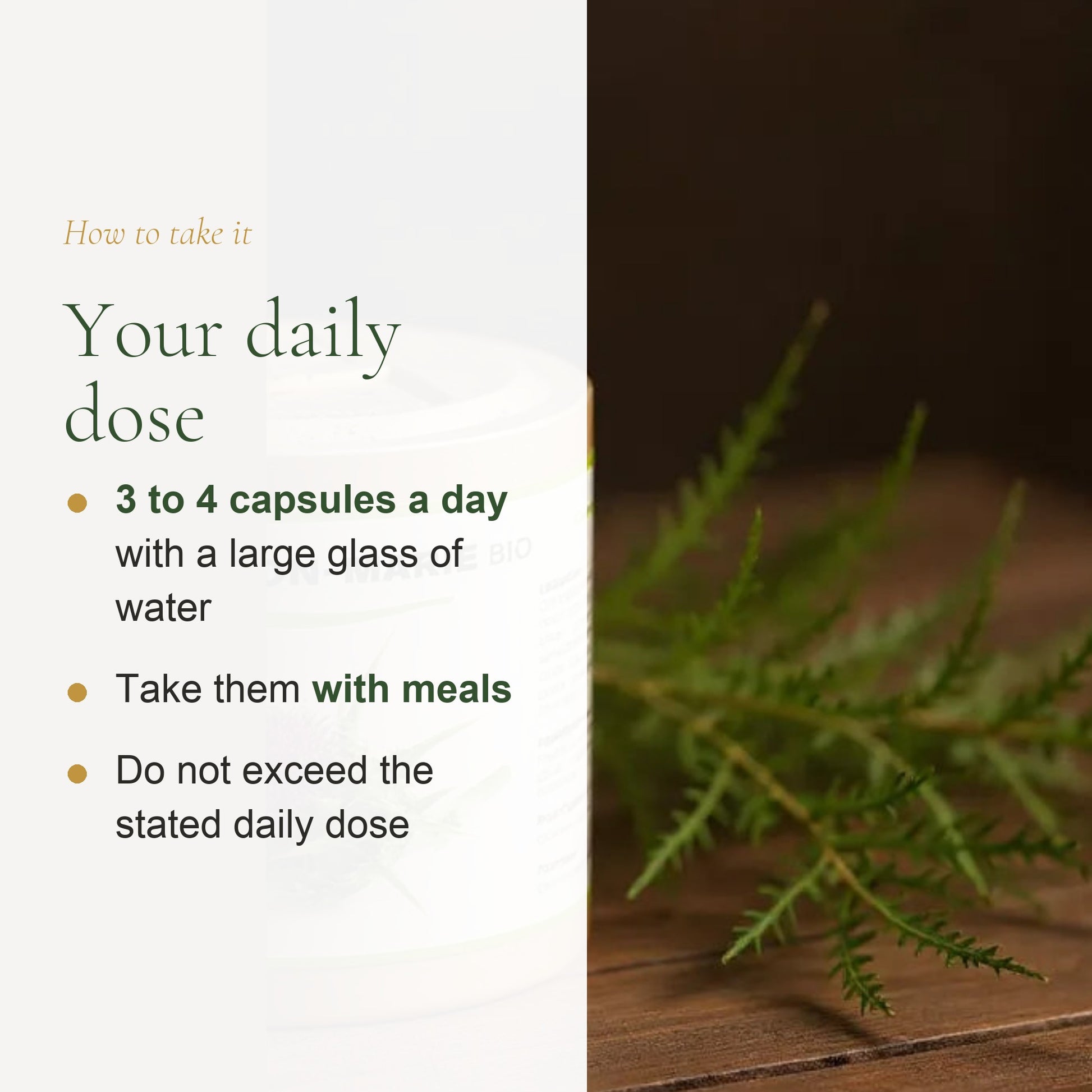 Organic Milk Thistle – Supports Healthy Liver Function – slide 6