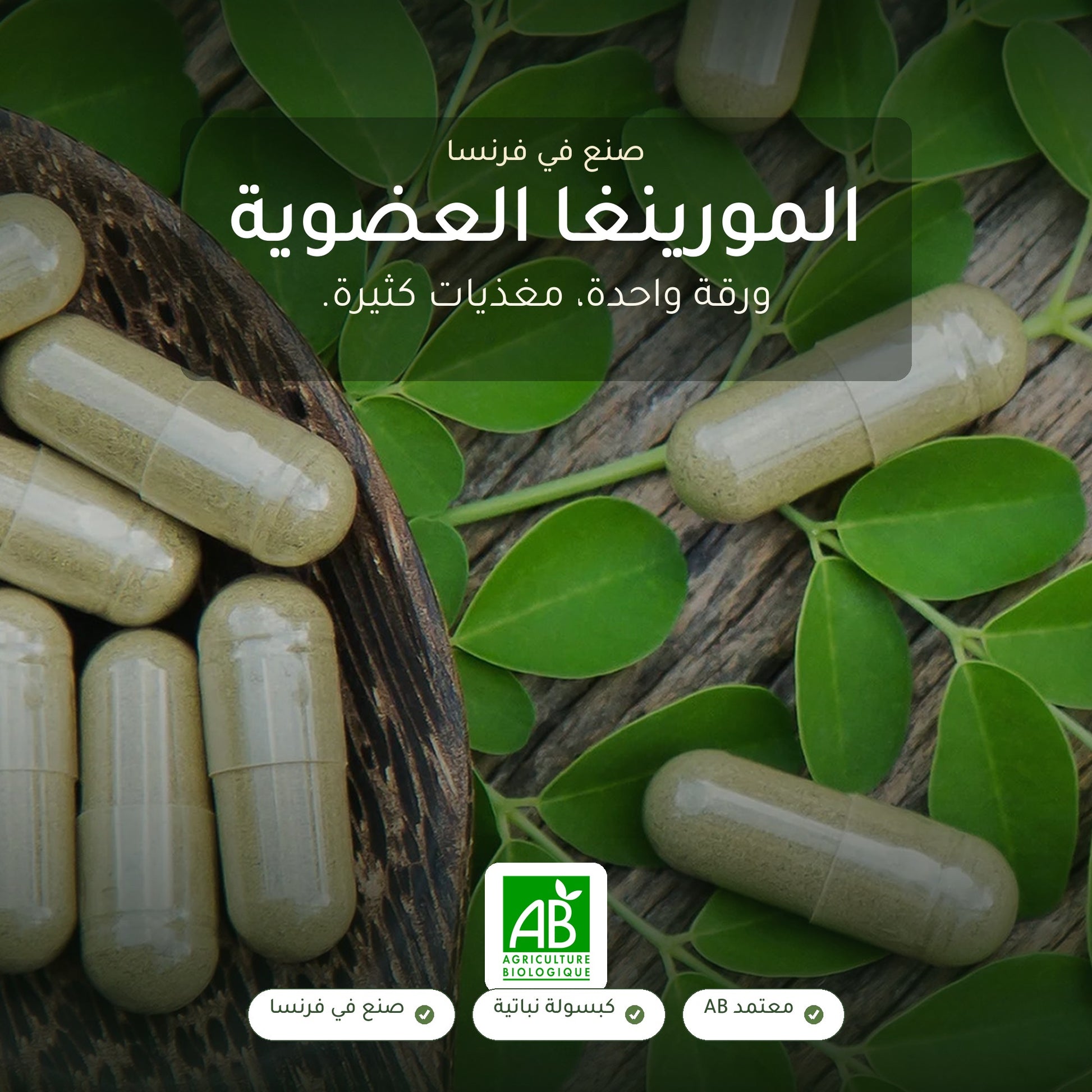 مكمل غذائي عضوي بخلاصة أوراق المورينجا - لدعم توازن سكر الدم – شريحة 1