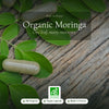 Organic Moringa Capsules – Nutrient-Rich Daily Wellness Support – slide 1