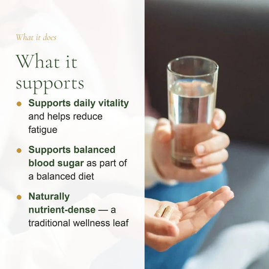 Organic Moringa Capsules – Nutrient-Rich Daily Wellness Support – slide 2