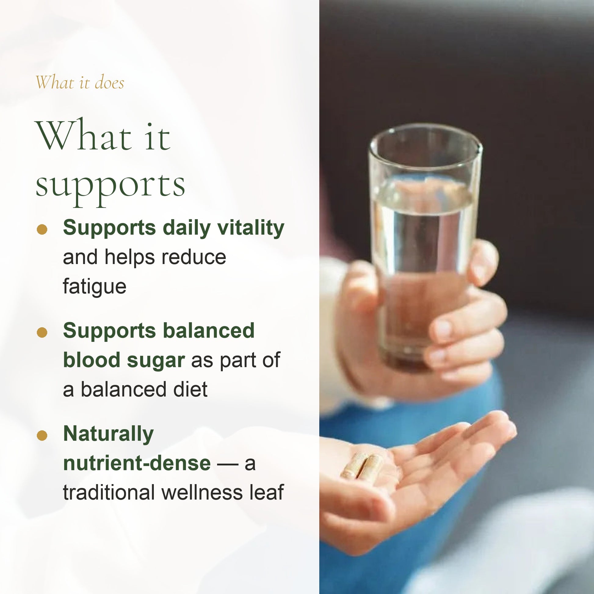 Organic Moringa Capsules – Nutrient-Rich Daily Wellness Support – slide 2