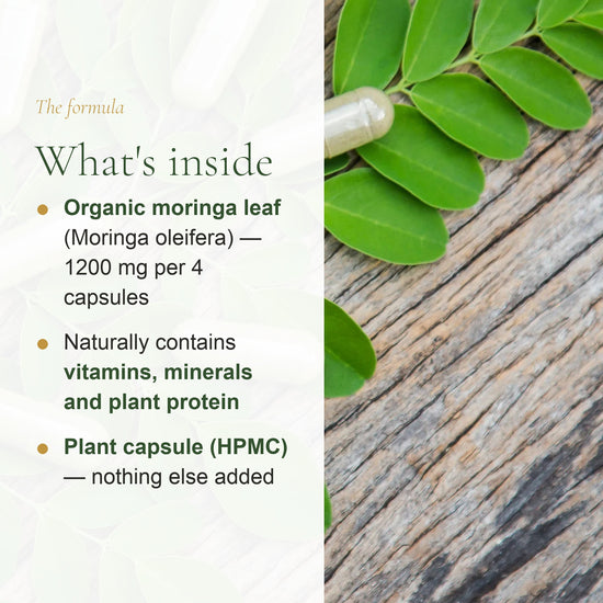 Organic Moringa Capsules – Nutrient-Rich Daily Wellness Support – slide 3