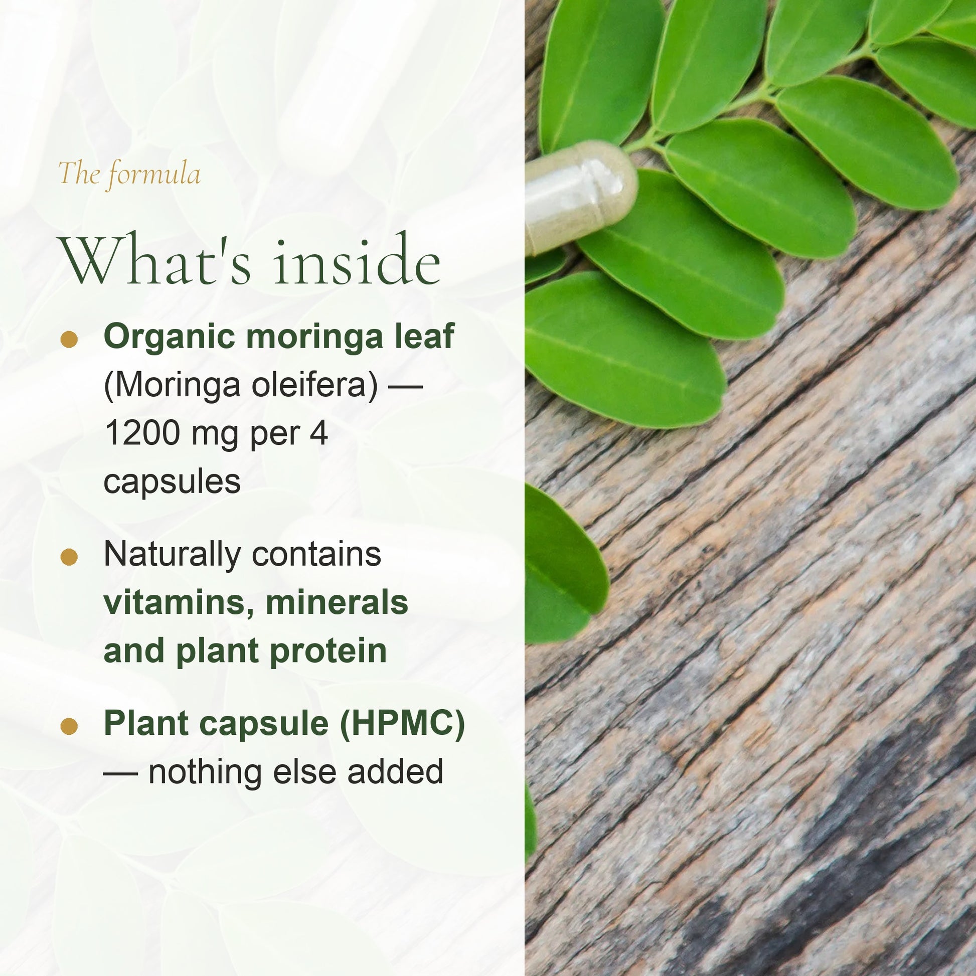 Organic Moringa Capsules – Nutrient-Rich Daily Wellness Support – slide 3