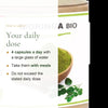 Organic Moringa Capsules – Nutrient-Rich Daily Wellness Support – slide 6