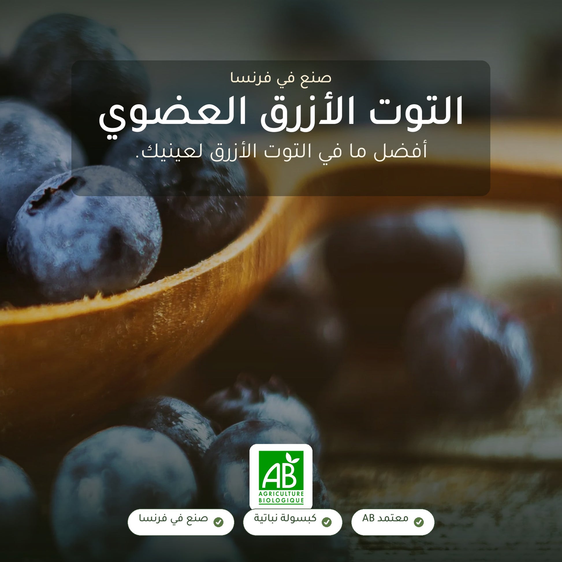 مكمل التوت الأزرق العضوي – دعم صحة العيون والرؤية الليلية – شريحة 1