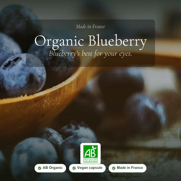 [EN] Organic Blueberry Supplement – Eye Health & Night Vision Support – slide 1