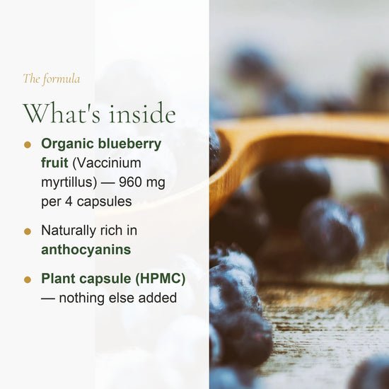 Organic Blueberry Supplement – Eye Health & Night Vision Support – slide 3