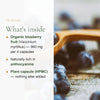 Organic Blueberry Supplement – Eye Health & Night Vision Support – slide 3