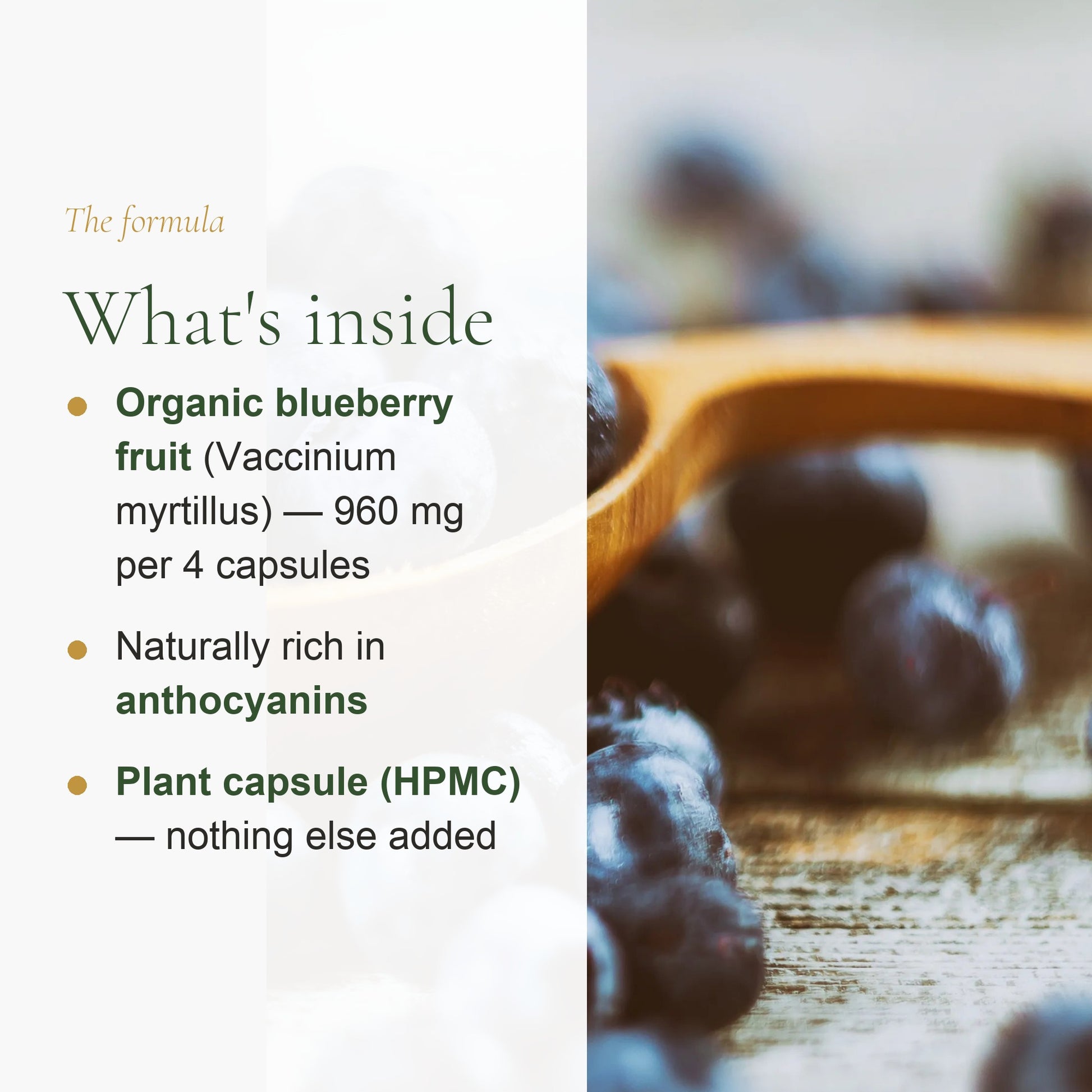 Organic Blueberry Supplement – Eye Health & Night Vision Support – slide 3