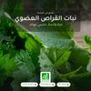 مكمل غذائي نبات القراص العضوي – شريحة 1