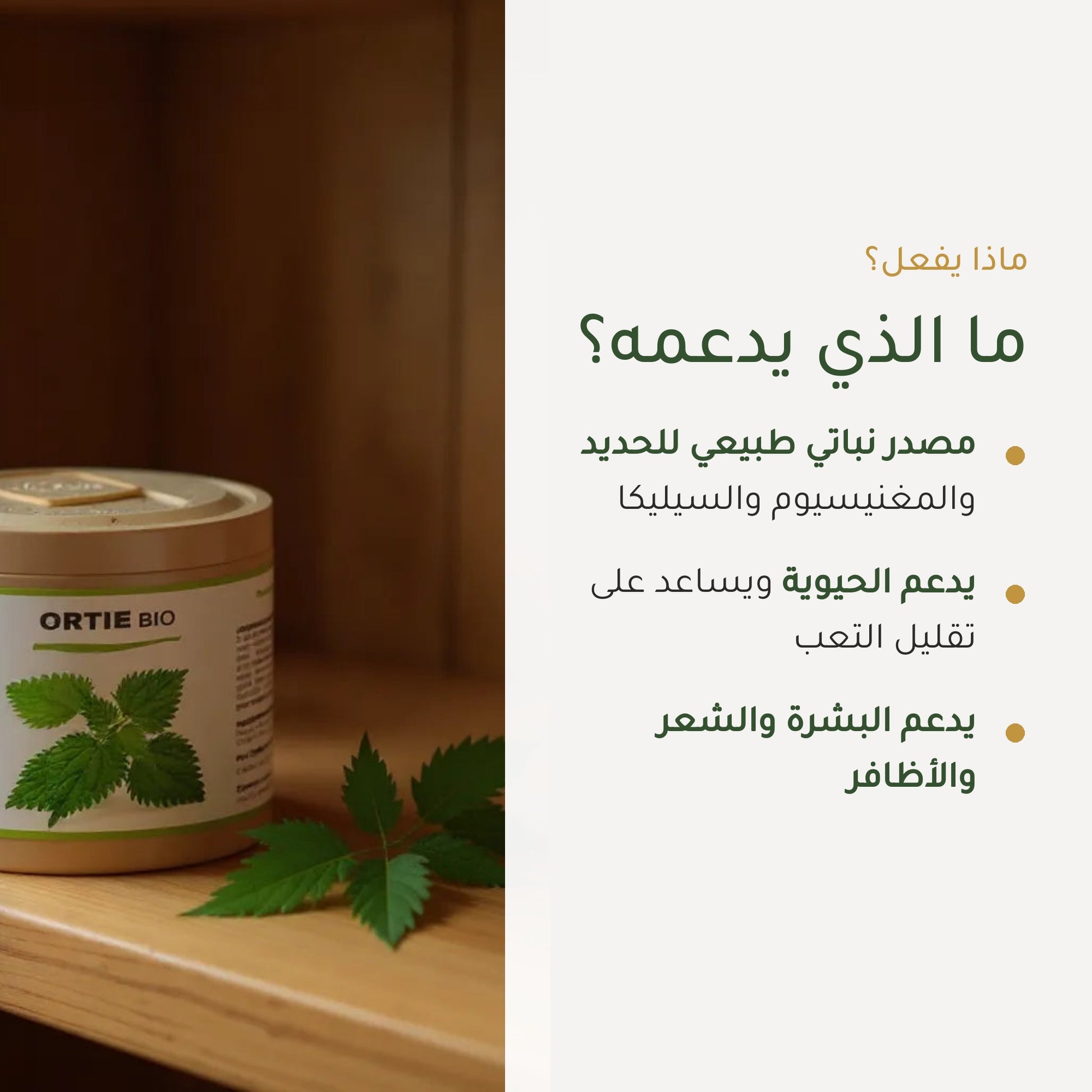 مكمل غذائي نبات القراص العضوي – شريحة 2