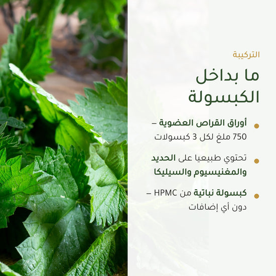 مكمل غذائي نبات القراص العضوي – شريحة 3