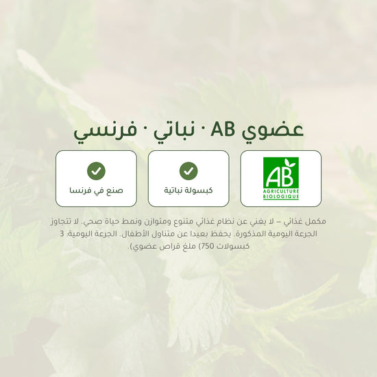 مكمل غذائي نبات القراص العضوي – شريحة 7