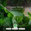 Organic Nettle Supplement – Natural Iron & Vitality Support – slide 1