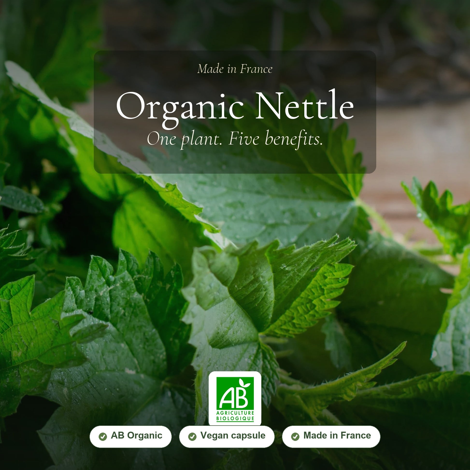 Organic Nettle Supplement – Natural Iron & Vitality Support – slide 1