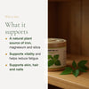 Organic Nettle Supplement – Natural Iron & Vitality Support – slide 2