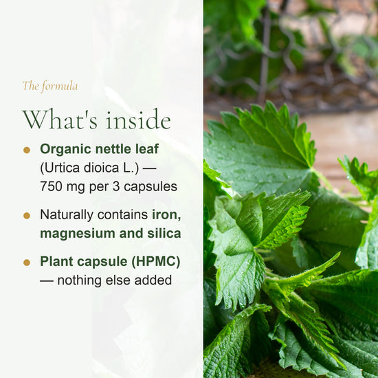 Organic Nettle Supplement – Natural Iron & Vitality Support – slide 3