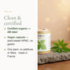 Organic Nettle Supplement – Natural Iron & Vitality Support – slide 4